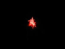 IMG_4297.JPG