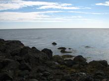 IMG_4324.JPG