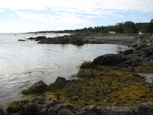 IMG_4325.JPG