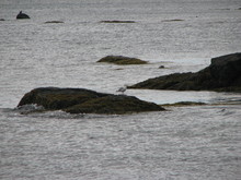 IMG_4327.JPG