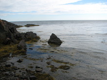 IMG_4330.JPG