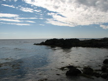 IMG_4332.JPG