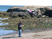 IMG_4353.JPG