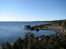 IMG_4458.JPG