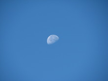 IMG_4459.JPG