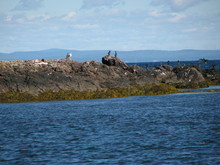 IMG_4484.JPG