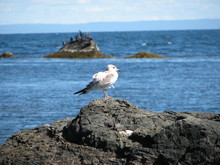 IMG_4486.JPG